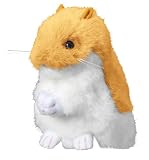 夢ハムスター ゴールデンハムスター