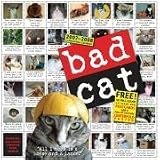 ISBN: 0761145591 - Bad Cat Wall Calendar 2008