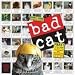 Bad Cat Wall Calendar 2008