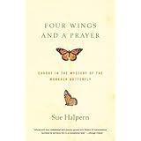 four wings and a prayer caught in the mystery of the monarch butterfly