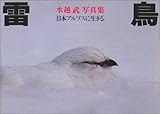 雷鳥―日本アルプスに生きる