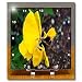 A Beautiful Yellow Flower With Purple in The Center up Close - 6x6 Desk Clock