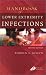 Book Handbook of Lower Extremity Infections