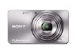 Sony Cyber-Shot DSC-W570 16.1 MP Digital Still Camera with Carl Zeiss Vario-Tessar 5x Wide-Angle Optical Zoom Lens and 2.7-inch LCD (Silver)