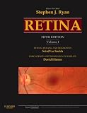 Retina (Ryan, Retina)