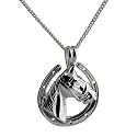Silver 21x24mm Horses head in Horse shoe pendant with Curb chain