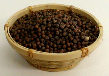 Organic Sprouting Seeds Speckled Pea for Shoots by The Sprout House