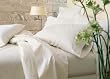 MARRIKAS 100% Seamless Silk Sheet Set CAL KING IVORY