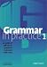Grammar in Practice 1