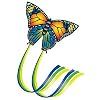 Paul G�nther  1151 - Drachen Butterfly