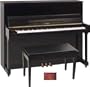 50" Professional Upright Piano (Walnut Polish)