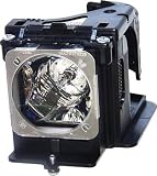 Replacement Lamp