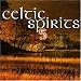 Various, Celtic spirits 5