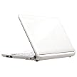 Lenovo IdeaPad 10.1" Netbook Computer - White (S10-2)
