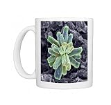 Calcium phosphate crystal, SEM Photo Mugs
