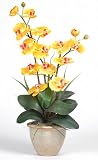Double Stem Phalaenopsis Silk Flower Arrangement - Gold - B001DQD7LO