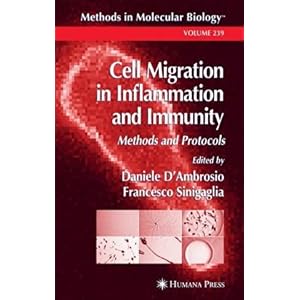 【クリックで詳細表示】Cell Migration in Inflammation and Immunity (Methods in Molecular Biology) [ハードカバー]