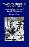 Peasants and King in Burgundy: Agrarian Foundations of French Absolutism (California Series on Social Choice and Political Economy)