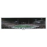 Everlasting Images Michigan State Spartans 'End Zone' Unframed Photo