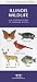 Book Illinois Wildlife: An Introduction to Familiar Species (Pocket Naturalist - Waterford Press)