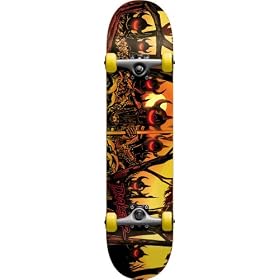 Darkstar Twilight Full Complete Skateboard by