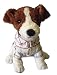 PARIS DOG CAF��� ����å���å���ƥꥢ 