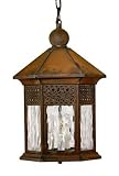 Westwinds 15 1/2 High Outdoor Hanging Light Fixture