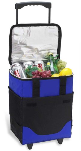 Collapsible Cooler on Wheels