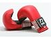 Karate Child Sparring Mitts