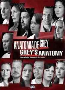 Grey's Anatomy - Season 7 (6 DVDs)