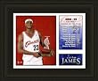 Cleveland Cavaliers Framed LeBron James Rookie of the Year Milestones and Memories -