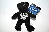 2010 Pittsburgh Penguins Official NHL Winter Classic 8 inch Plush Teddy Bear