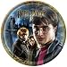 Harry Potter Deathly Hallows Dinner Plates