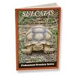 TREX AFR SPURRED TORT IN CAPTIVITY TREX AFR SPURRED TORT IN CAPTIVITY