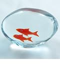 Murano Design Glass Crystal Fishtank art Paperweight PW-006