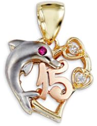 14k White Yellow Rose Gold CZ Dolphin 15 Heart Pendant