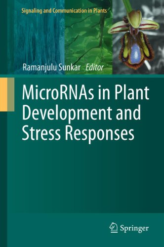 MicroRNAs in Plant Development and Stress Responses: 15 (Signaling and Communication in Plants)