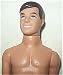 Brunette Ken Doll Clothed