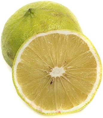 ZenXoilz 100% Pure Bergamot Essential Oil 10ml