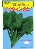 ウィンダム トキタのほうれん草種です