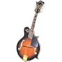 Lark's F Style Mandolin