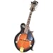 Lark's F Style Mandolin