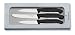 Victorinox Classic Knife Set 3 piece