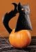 Cat Pumpkin Wear