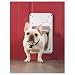 PetSafe Electronic Smart Door Small