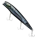 ������Daiwa TD����ȥڥ󥷥�