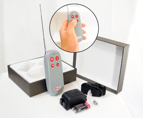 GSI Super Quality Ultra-Safe Electronic Remote Control Dog Training Collar System - Includes Transmitter - Waterproof Receiver and Secure Collar - 300 Yard Range - Vibrations and Whistle Functions
