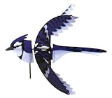 Eastern Blue Jay Spinner