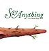 Say Anything 