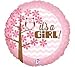 Baby Girl Owl Shower Balloons Decorations Supplies